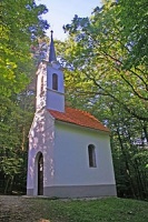 Szlovénia Csodatevő tó és orchideák