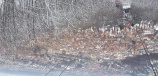 Brassó