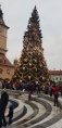 Brassó - Főtér Karácsony
