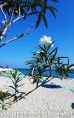 Paralia beach : a strand világos színeiben