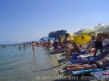 Paralia