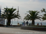 Paralia