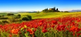 TOSCANA
