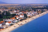Leptokaria