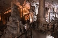 Szlovénia-Postojnai cseppkőbarlang