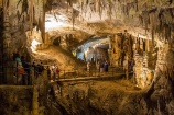 Szlovénia-Postojnai csepkőbarlang